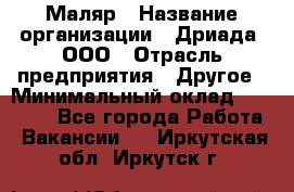 Маляр › Название организации ­ Дриада, ООО › Отрасль предприятия ­ Другое › Минимальный оклад ­ 18 000 - Все города Работа » Вакансии   . Иркутская обл.,Иркутск г.